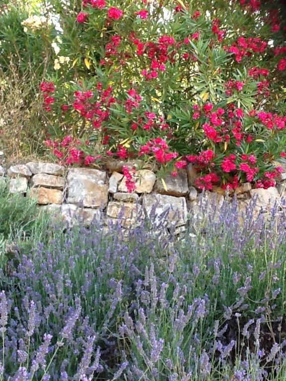 L'Oustaou B&B Piscine & Spa Besse-sur-Issole ภายนอก รูปภาพ