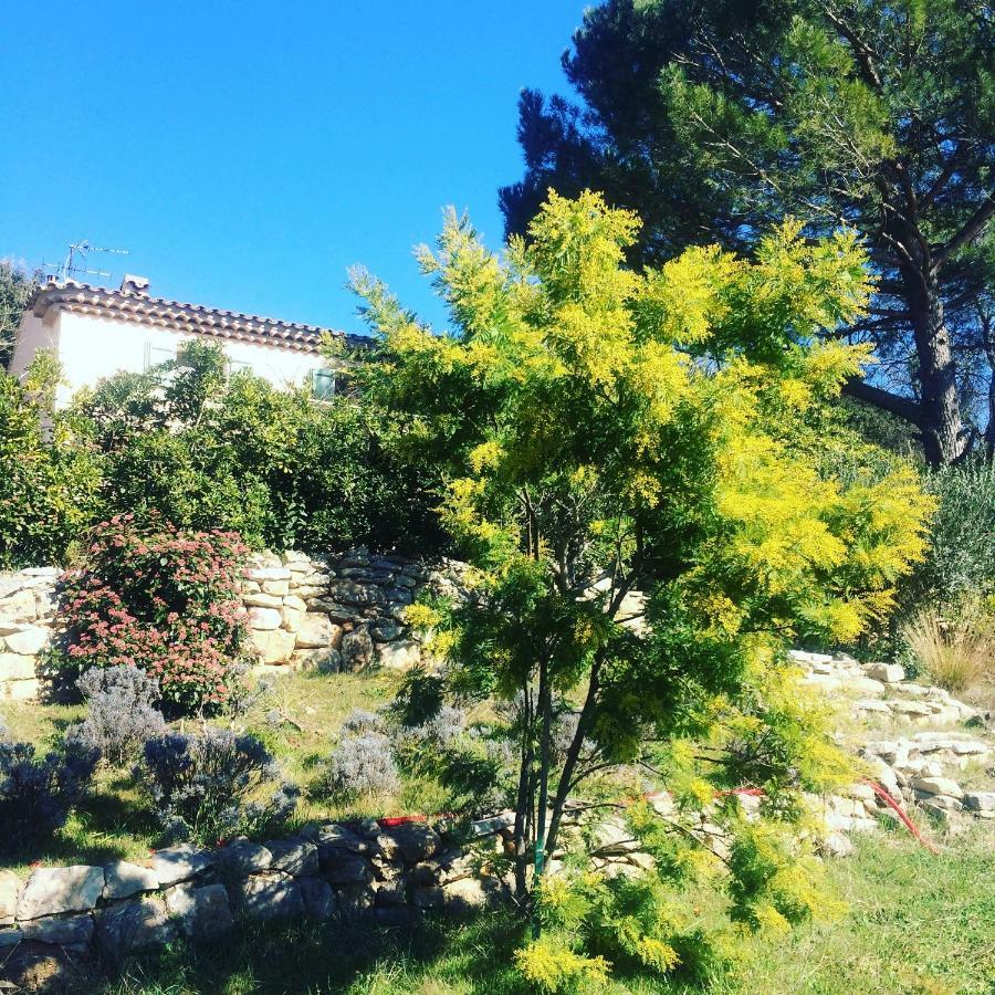 L'Oustaou B&B Piscine & Spa Besse-sur-Issole ภายนอก รูปภาพ